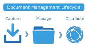 Document Management Life Cycle